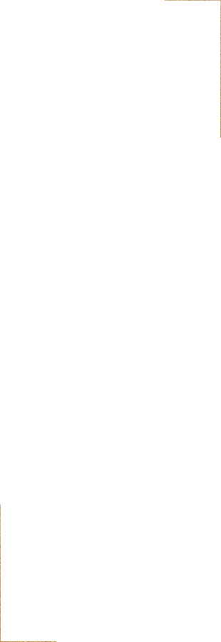 寿司と一品を愉しむコースを